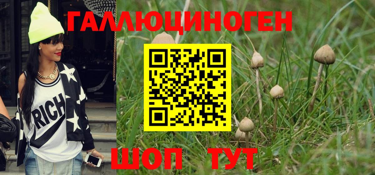Псилоцибиновые грибы Psilocybine cubensis  Вход с VPN  Энгельс 