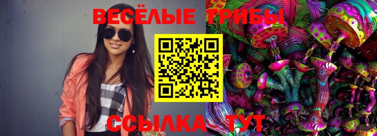 Галлюциногенные грибы Psilocybe Энгельс