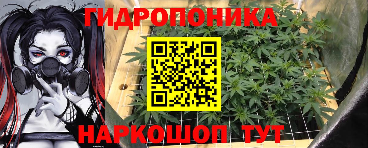 Бошки Шишки ГИДРОПОН Энгельс
