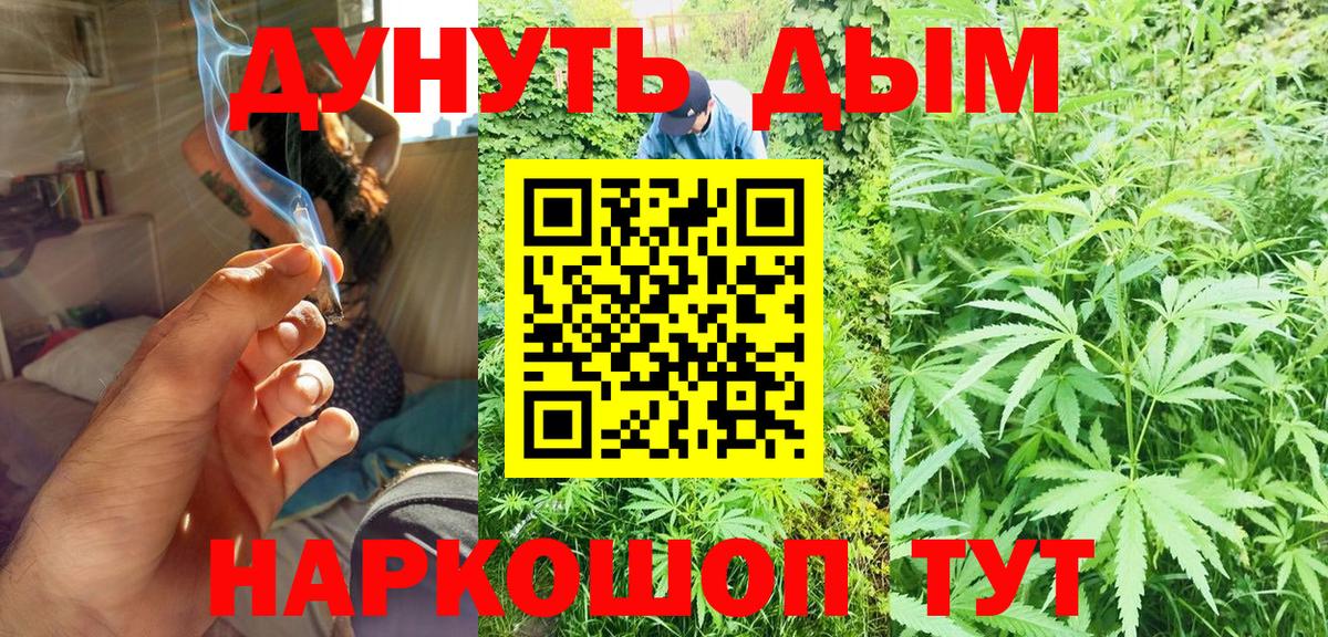 Бошки Шишки THC 21%  Марихуана планчик  Энгельс  Вход с VPN  Канабис Bruce Banner  Конопля сатива 